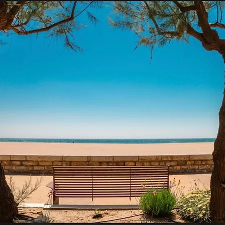 La Coquille - Spacieux 45m2, T2 A 1min De La - Wifi Apartment